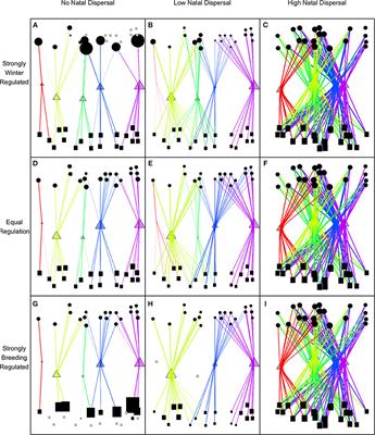 Effects of Natal Dispersal and Density-Dependence on Connectivity Patterns and Population Dynamics in a Migratory Network